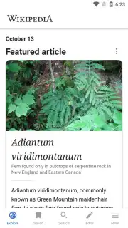 Wikipedia captura 5