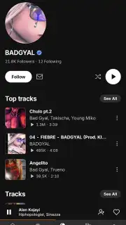 SoundCloud captura 19