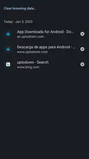Kiwi Browser captura 4