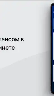 Налоги ФЛ captura 2