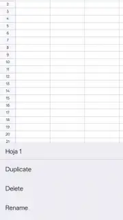 Google Sheets captura 16