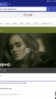 Skynet Browser captura 10