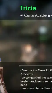 Bless Global captura 11