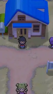 PokeMMO captura 6