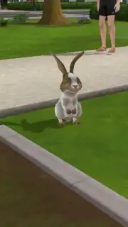 Virtual Sim Story: Dream Life captura 5