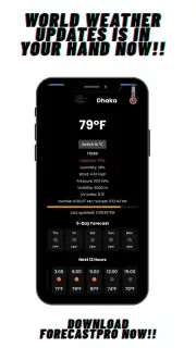 ForecastPro captura 3