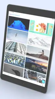 Android 13 Launcher captura 10