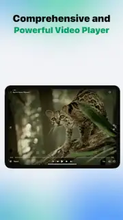 VidHub captura 15