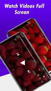 Fast Youtube Downloader captura 2