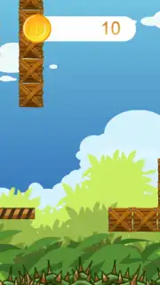 cat bros captura 12