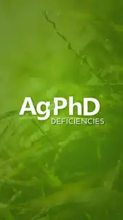 Ag PhD Deficiencies captura 3