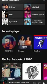 Spotify captura 16