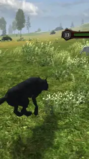 Wild Life: Wolf Clan captura 12