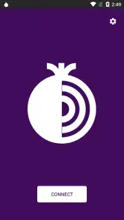Tor Browser captura 10