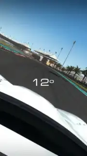GRID™ Autosport Custom Edition captura 1