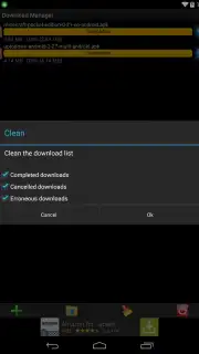 Download Manager captura 1