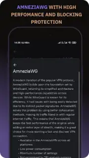 Amnezia VPN captura 4