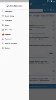 Reverso Translation Dictionary captura 8