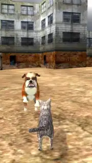 HomelessCat captura 1
