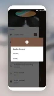 MP3 Recorder captura 12