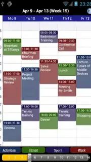 Business Calendar captura 2