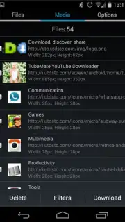 GetThemAll Any File Downloader captura 2