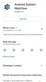 Android System WebView captura 15