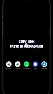 Media Saver captura 1