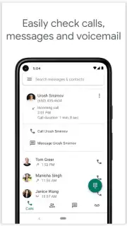 Google Voice captura 4