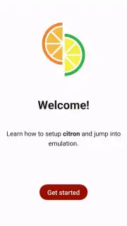 Citron captura 1