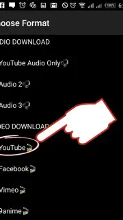 Tube Downloader captura 5