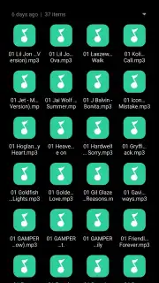 Xiaomi File Manager captura 8