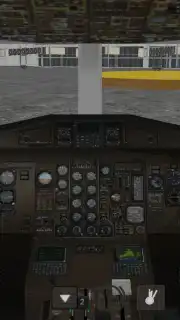 Flight Simulator captura 5