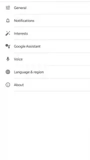 Google App captura 5