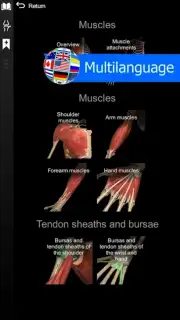 3D Anatomy Learning captura 1