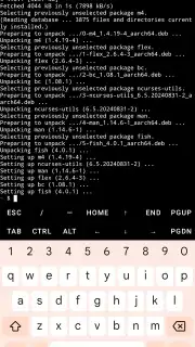 Termux captura 3