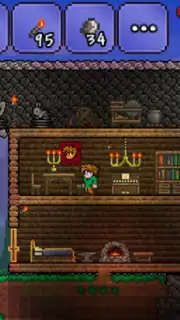 Terraria captura 7