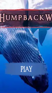 The Humpback Whales captura 19