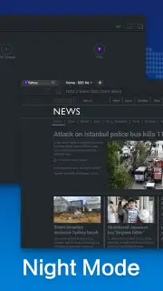 Web Browser captura 3