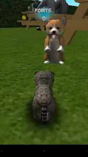 Cat Simulator captura 1