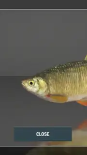 Fishing Planet captura 4