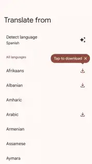 Google Translate captura 9