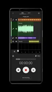 Sony Music Pro captura 6
