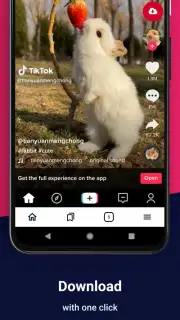 Video Downloader captura 1