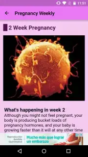 Pregnancy Weekly captura 3