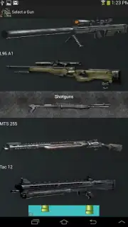 Gun Camera captura 3