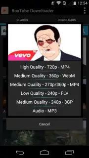 BoxTube Downloader captura 3