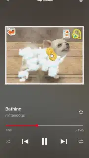 Nintendo Music captura 6