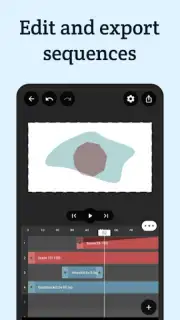 VectorMotion captura 3