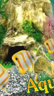 AquaLife 3D captura 4